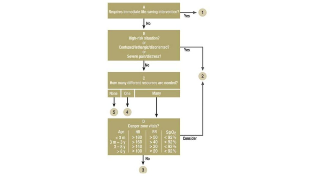 TRIAGE ESI SYSTEM